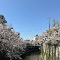 中島屋のレビュー by_ドフラミンゴ