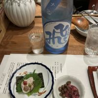 マル飛