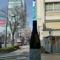 風の森のレビュー by_ドフラミンゴ