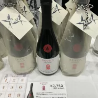 白瀧_ドフラミンゴさん