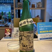 燗ガエル
