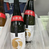 甲子のレビュー by_ドフラミンゴ