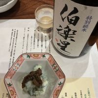 伯楽星