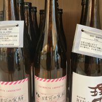 理可の実験