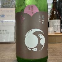 甲子のレビュー by_ドフラミンゴ