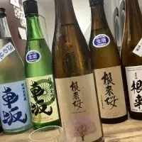 根来桜_ドフラミンゴさん