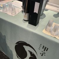 甲子