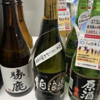 
            柏浪漫_
            ドフラミンゴさん