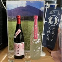 思い出桜のレビュー by_ドフラミンゴ