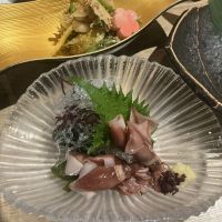 浅間山のレビュー by_ドフラミンゴ