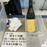 
            はつせ_
            ドフラミンゴさん