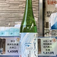 
            庄内美人_
            ドフラミンゴさん