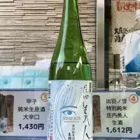 庄内美人_ドフラミンゴさん