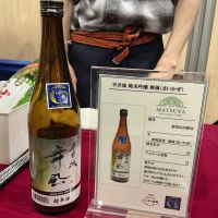 平井城