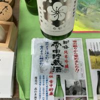 越の初梅