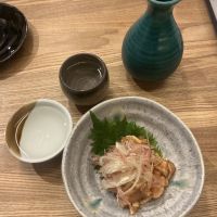 十四代のレビュー by_ドフラミンゴ