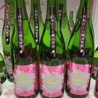 金鵄盃のレビュー by_ドフラミンゴ