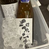 紫宙のレビュー by_ドフラミンゴ