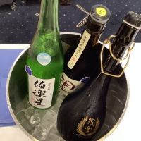 
            伯楽星_
            ドフラミンゴさん