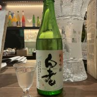 白老