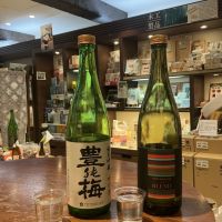 豊の梅（豊能梅）