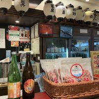 豊の梅（豊能梅）