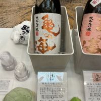 
            亀の海_
            ドフラミンゴさん