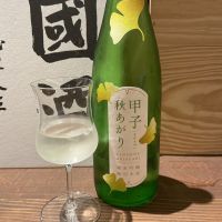 甲子のレビュー by_ドフラミンゴ