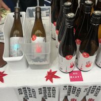大納川天花
