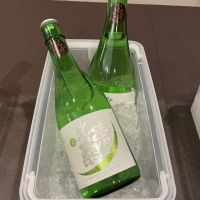 光栄菊