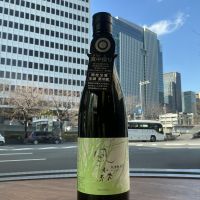 風の森のレビュー by_ドフラミンゴ