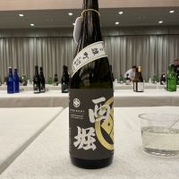 西掘