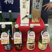 梅一輪_ドフラミンゴさん