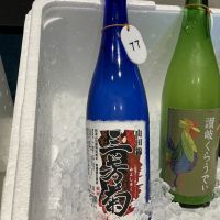 三芳菊