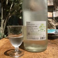 光栄菊のレビュー by_ドフラミンゴ