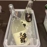 光栄菊