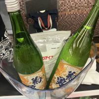 菊勇