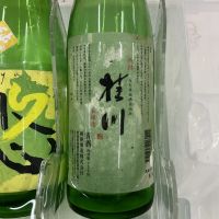 桂川