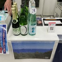 綾菊
