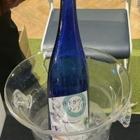 のレビュー by_ドフラミンゴ