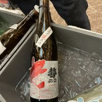 
            勢正宗_
            ドフラミンゴさん