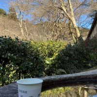 百楽門のレビュー by_ドフラミンゴ