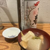 京の春のレビュー by_ドフラミンゴ