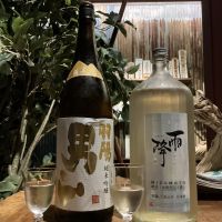 羽陽男山