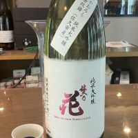 佐久乃花のレビュー by_ドフラミンゴ