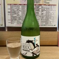 賀茂泉