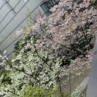 萩乃露のレビュー by_ドフラミンゴ