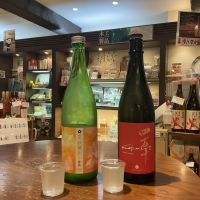 豊の梅（豊能梅）