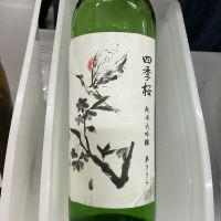 四季桜
