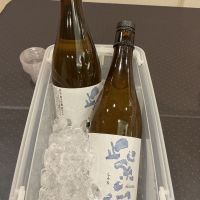 紫宙